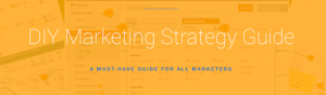 Annie Cushing - Annielytics DIY Marketing Strategy Guide