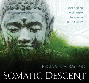 ​ Reginald A. Ray - Somatic Descent Experiencing the Ultimate Intelligence of the Body