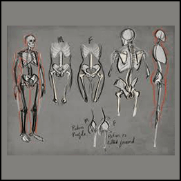 Aaron Blaise - Drawing Human Anatomy