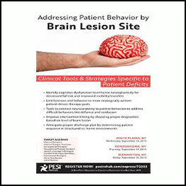 Brain Lesion Site - Addressing Patient Behavior