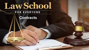 David Horton - Law School for Everyone Contracts