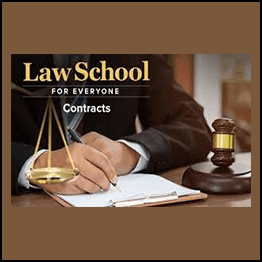 David Horton - Law School for Everyone: Contracts