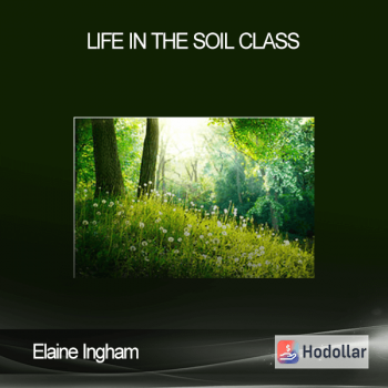 Elaine Ingham – Life In The Soil Class