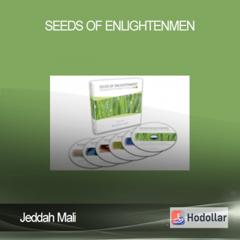 Jeddah Mali – Seeds of Enlightenmen