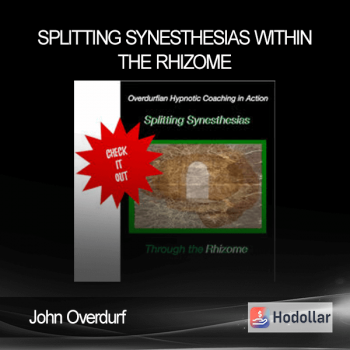 John Overdurf - Splitting Synesthesias within the Rhizome