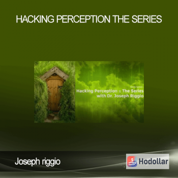 Joseph riggio - Hacking Perception - The Series