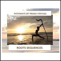Shiva Rea - Elemental Pathway of Prana Vinyasa