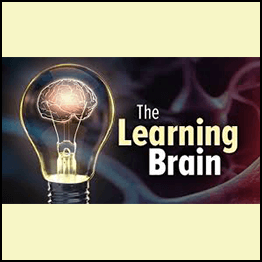TTC - The Learning Brain