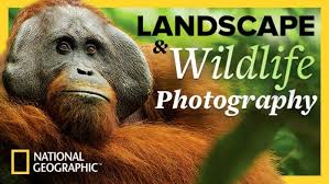 The National Geographic Guide to Landscape and Wildlife Photography
