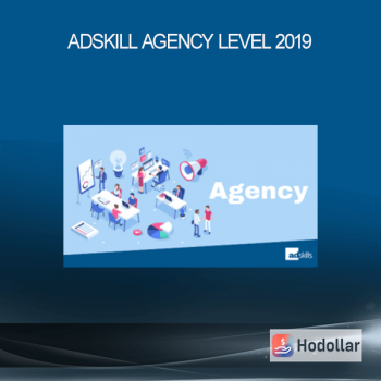 Adskill Agency Level 2019