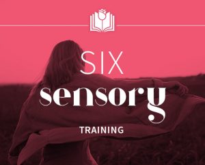 Sonia Choquette - Six Sensory Online Course