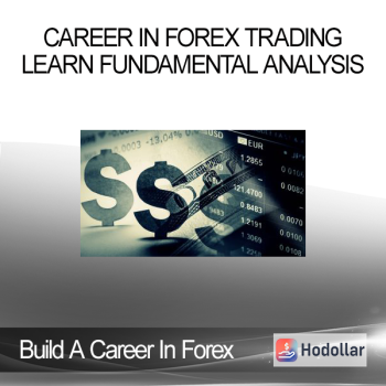 Build A Career In Forex Trading - Learn Fundamental Analysis