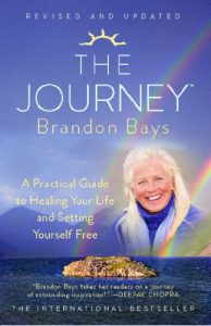 Brandon Bays-The Journey