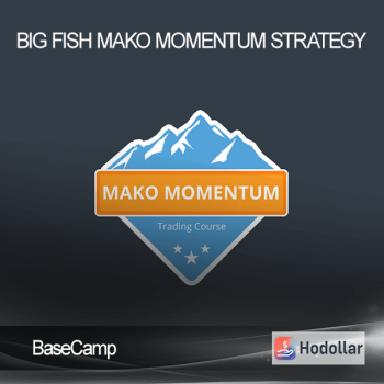 BaseCamp – Big Fish Mako Momentum Strategy