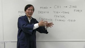 Waysun Liao - How Condensing Breathing Creates Jing Power