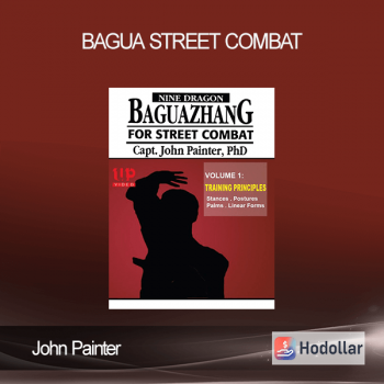John Painter – Bagua Street Combat