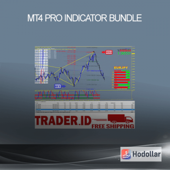 MT4 Pro Indicator Bundle