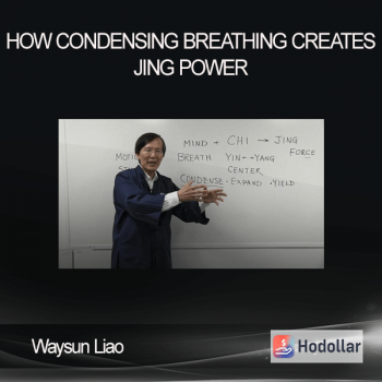 Waysun Liao - How Condensing Breathing Creates Jing Power