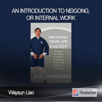 Waysun Liao – An Introduction To Neigong, Or Internal Work
