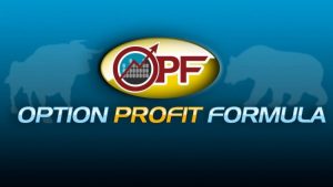 Travis Wilkerson - How To Trade Stock Options - Profiting In Up And Down Markets
