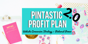Summer Tannhauser - Pintastic Profit Plan 2.0