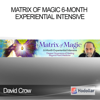 David Crow - Matrix of Magic 6-Month Experiential Intensive