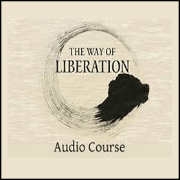Adyashanti - The way of Liberating Insight - Study Course