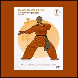 Shaolin Warrior - The Way of Qi Gong