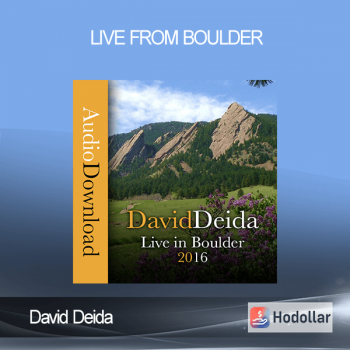 David Deida - Live from Boulder
