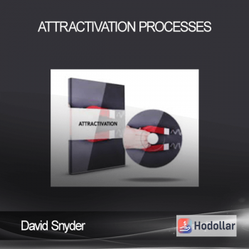 David Snyder - Attractivation Processes