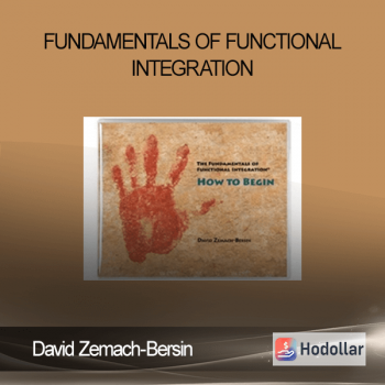 David Zemach-Bersin - Fundamentals of Functional Integration