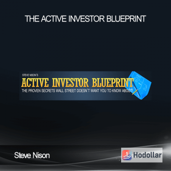 Steve Nison - the Active Investor Blueprint