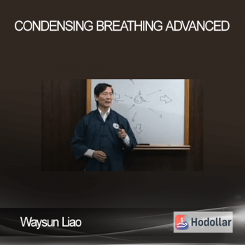 Waysun Liao - Condensing Breathing - ADVANCED