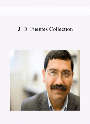 J. D. Fuentes Collection - J. D. Fuentes Collection