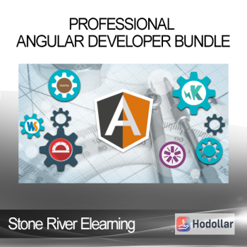 Stone River Elearning - Professional Angular Developer Bundle