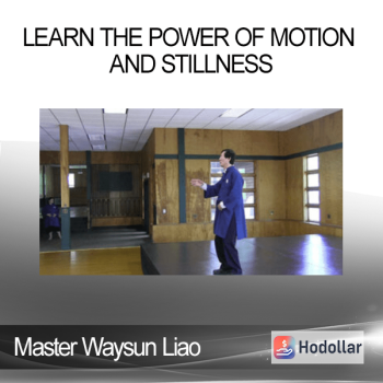 Master Waysun Liao - Learn the Power of Motion and Stillness