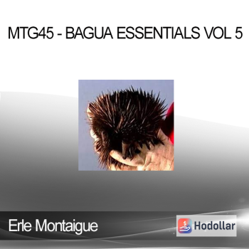 Erle Montaigue - MTG45 - Bagua Essentials Vol 5