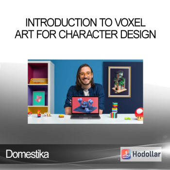 Domestika - Introduction to Voxel Art for Character Design