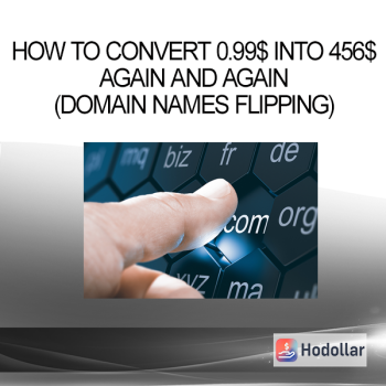 How to Convert 0.99$ Into 456$ Again and Again (Domain Names Flipping)