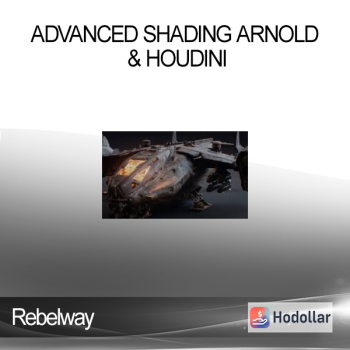 Rebelway - Advanced Shading Arnold & Houdini