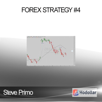 Steve Primo - Forex Strategy #4
