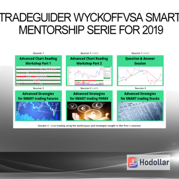 Tradeguider WyckoffVSA SMART Mentorship Series for 2019