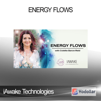 iAwake Technologies - Energy FLows