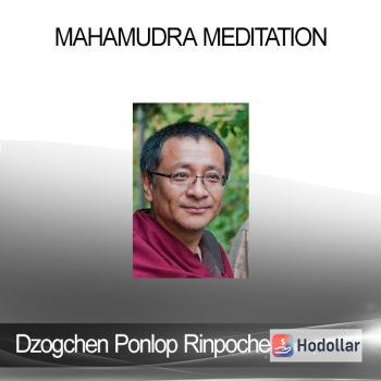 Dzogchen Ponlop Rinpoche - Mahamudra Meditation