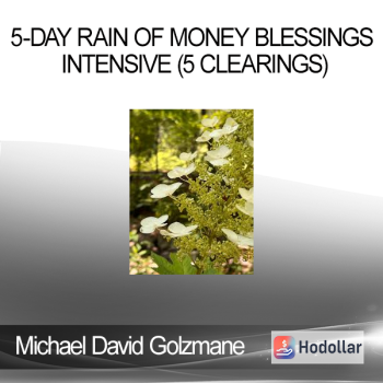 Michael David Golzmane - 5-Day Rain of Money Blessings Intensive (5 Clearings)
