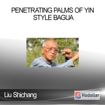 Liu Shichang - Penetrating Palms of Yin Style Bagua
